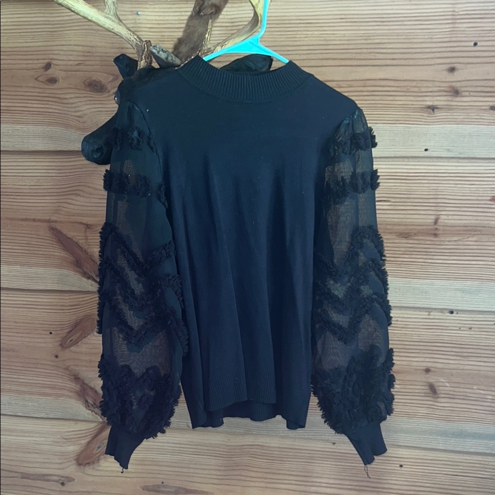 Elegant Black Sheer Sleeve Top